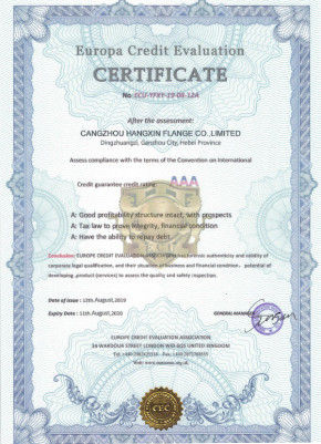 Chine Cangzhou Hangxin Flange Co.,Limited certifications